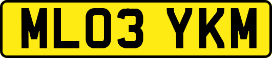 ML03YKM