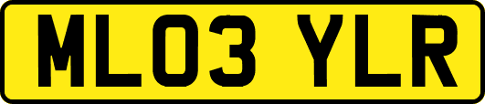 ML03YLR