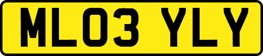 ML03YLY