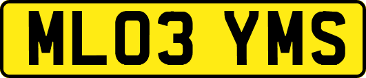 ML03YMS