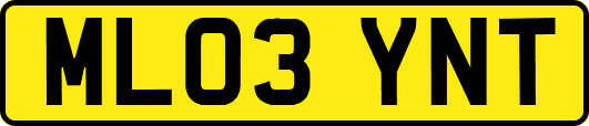 ML03YNT