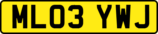ML03YWJ