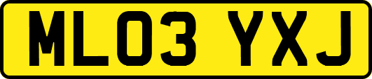 ML03YXJ