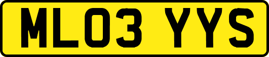 ML03YYS