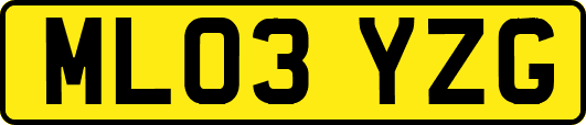 ML03YZG