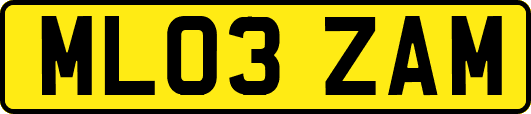 ML03ZAM