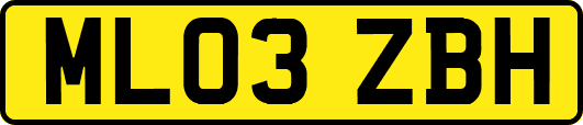 ML03ZBH