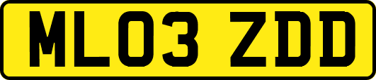 ML03ZDD