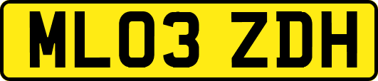 ML03ZDH
