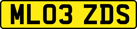 ML03ZDS