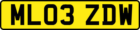 ML03ZDW