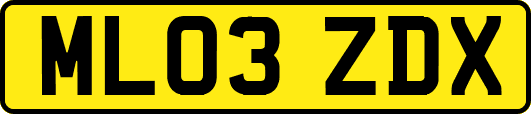 ML03ZDX