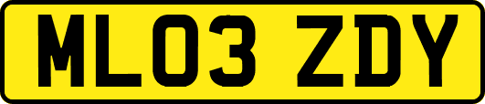 ML03ZDY