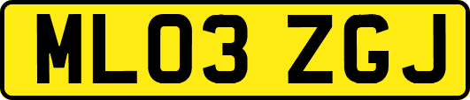 ML03ZGJ