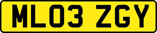 ML03ZGY