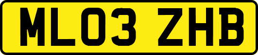 ML03ZHB