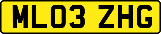 ML03ZHG