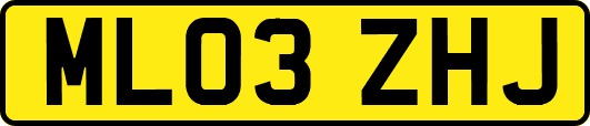 ML03ZHJ