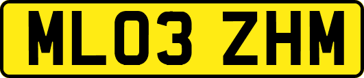 ML03ZHM