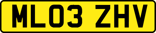 ML03ZHV
