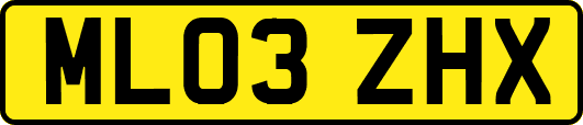 ML03ZHX