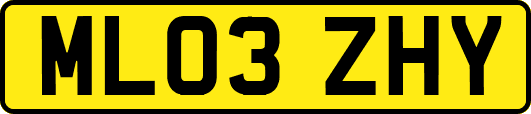 ML03ZHY