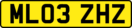 ML03ZHZ