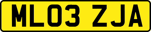ML03ZJA