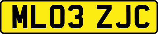ML03ZJC