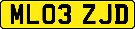ML03ZJD