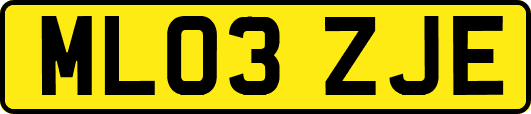 ML03ZJE