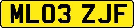 ML03ZJF