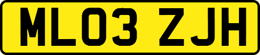 ML03ZJH