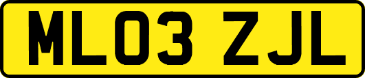 ML03ZJL