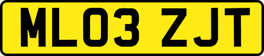 ML03ZJT