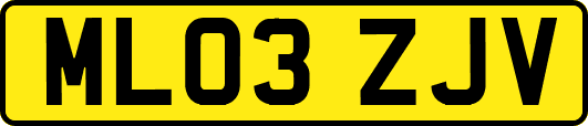 ML03ZJV