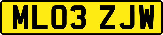 ML03ZJW