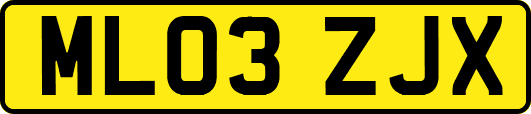 ML03ZJX