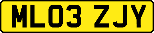 ML03ZJY