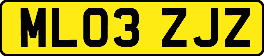 ML03ZJZ