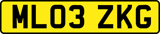 ML03ZKG