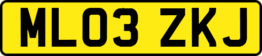 ML03ZKJ