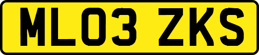 ML03ZKS