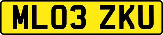 ML03ZKU