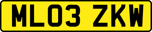 ML03ZKW