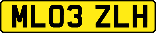 ML03ZLH