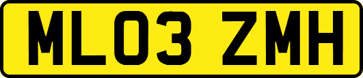 ML03ZMH