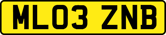 ML03ZNB