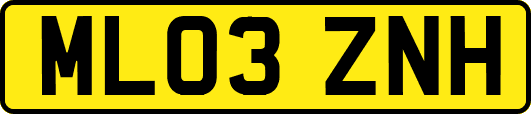 ML03ZNH