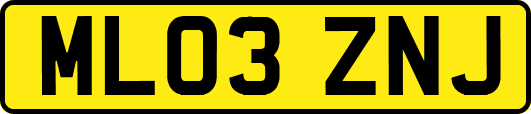 ML03ZNJ